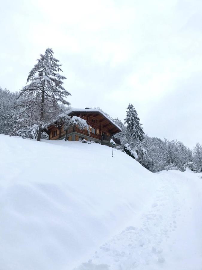 Ferienwohnung La Marmotte Qui Papote Le Grand-Bornand Exterior foto