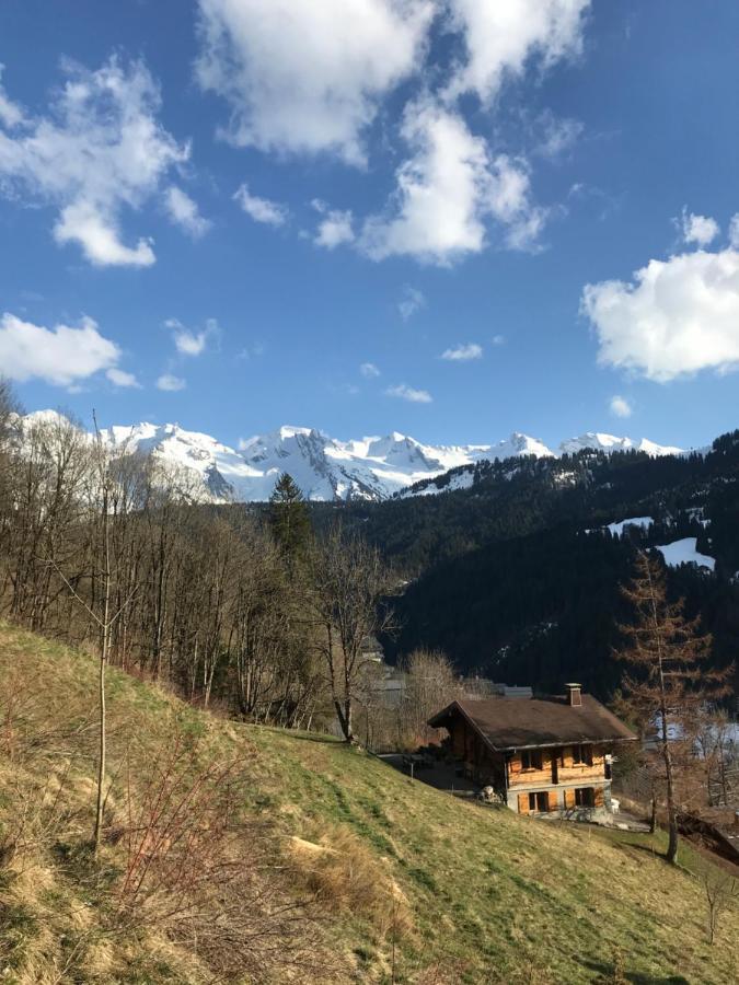 Ferienwohnung La Marmotte Qui Papote Le Grand-Bornand Exterior foto