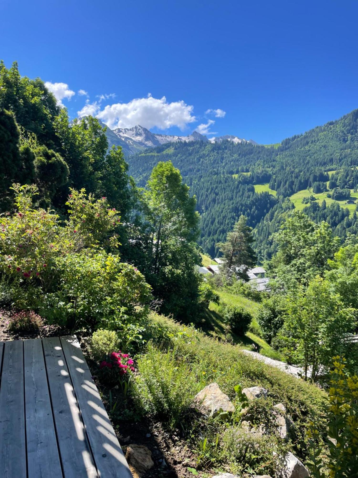 Ferienwohnung La Marmotte Qui Papote Le Grand-Bornand Exterior foto